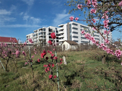 PALAZU MARE - REGISTRU -Teren  intravilan 1250 mp, pentru dezvoltare imobiliară!